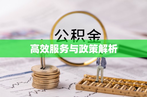 运城高效服务与政策解析