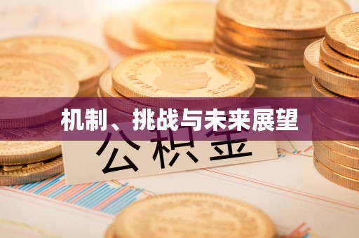运城机制、挑战与未来展望