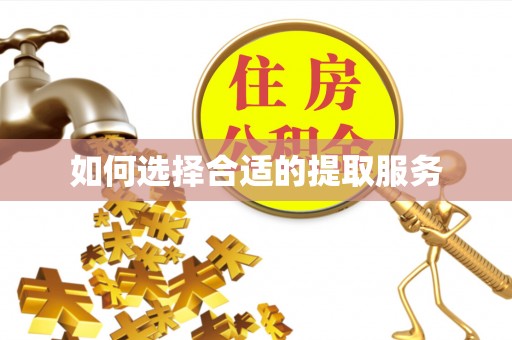 运城如何选择合适的提取服务